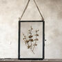 Small Antique Pressed Flower Frame: Dried Branches, thumbnail 1 of 9