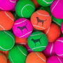 Labrador Tennis Balls, thumbnail 4 of 6