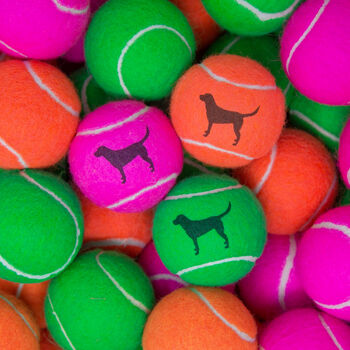 Labrador Tennis Balls, 4 of 6