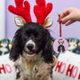 Personalised Cute Reindeer Dog Christmas Decoration, thumbnail 11 of 12