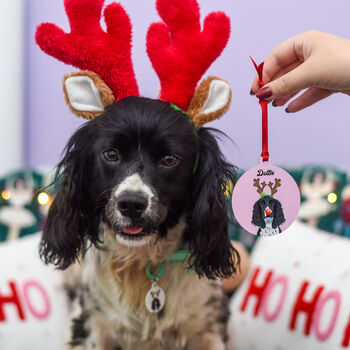 Personalised Cute Reindeer Dog Christmas Decoration, 11 of 12