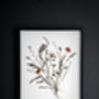 Whisper Stem Original Pressed Flower Art In A3 Black Frame, thumbnail 2 of 7