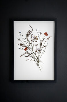 Whisper Stem Original Pressed Flower Art In A3 Black Frame, 2 of 7