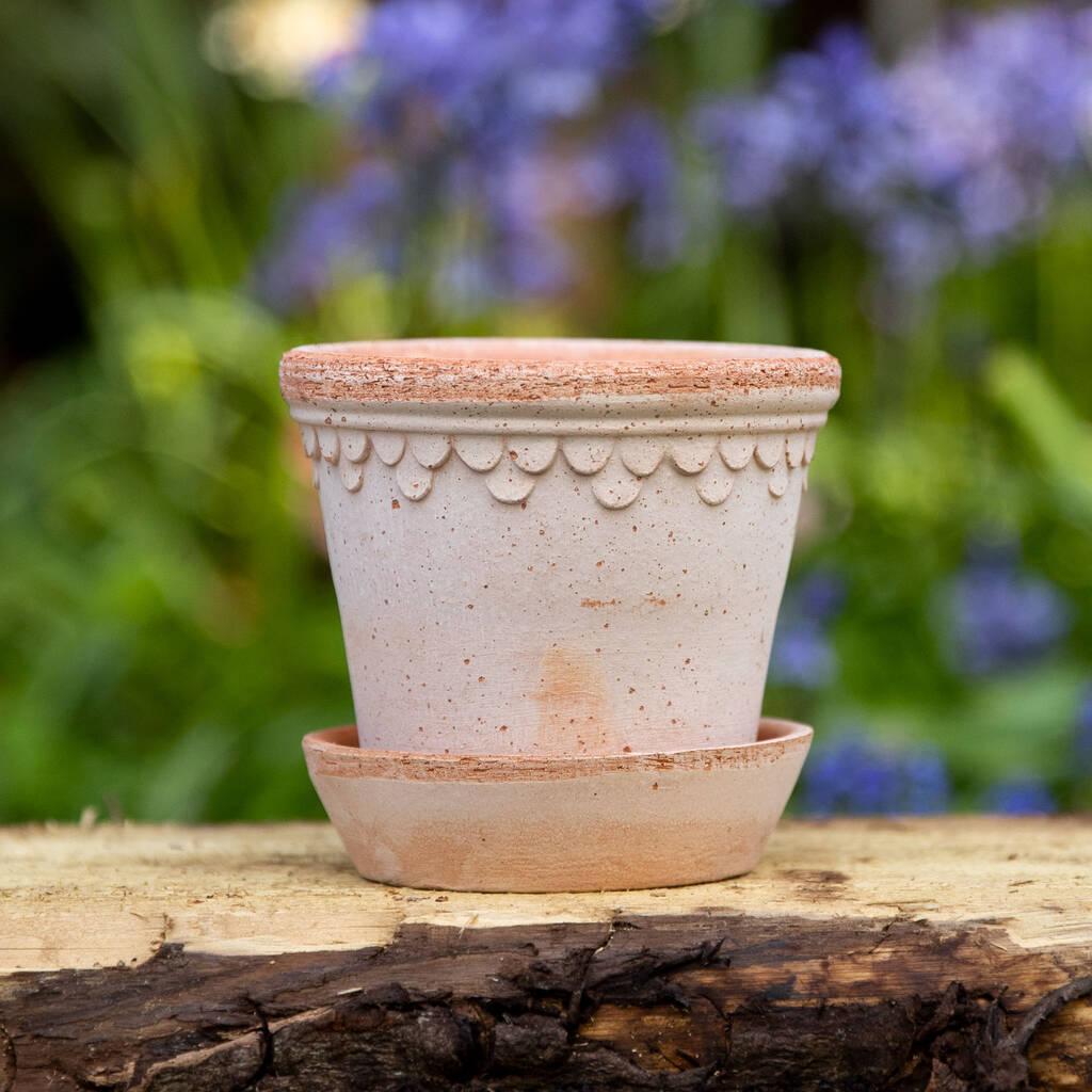 June Birth Flower Gift Set With Handmade Pot By Flourishy