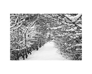 Snowy Path, Suffolk Photographic Art Print, 3 of 4