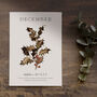 Birth Flower Wall Print 'Holly' For December, thumbnail 1 of 9
