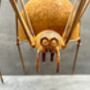 Huge Spider Garden Ornament 35cm Distressed Rusty Metal, thumbnail 5 of 12