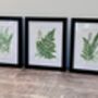Isaac Jacobs Set Of Three Black Photo Frames, thumbnail 1 of 4