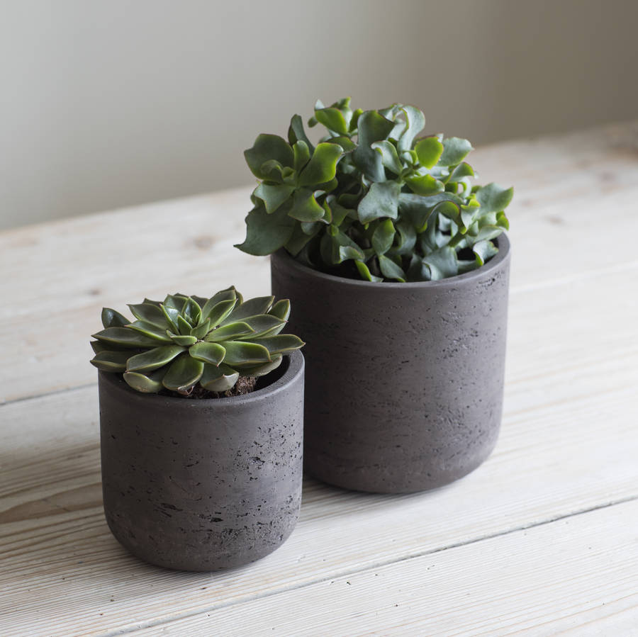 Cement Plant Pot Set Of Two By Idyll Home | notonthehighstreet.com