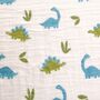 Newborn Baby Boy Dinosaur Luxury Gift Box, thumbnail 7 of 12