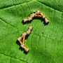 Libra Star Sign Constellation Astrology Tiny Earrings, thumbnail 1 of 4