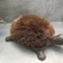 Cast Iron Tortoise Boot Scraper – Shoe Brush, thumbnail 6 of 12
