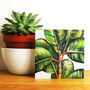 Gold Foiled Ficus Benghalesis Birthday Card, thumbnail 1 of 5