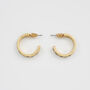 Gold Nightshade Hoop Earrings, thumbnail 4 of 7