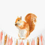 Red Squirrel Wall Sticker, thumbnail 1 of 2