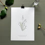 ‘Snowdrop’ Spring Flower Botanical Giclée Print, thumbnail 1 of 3
