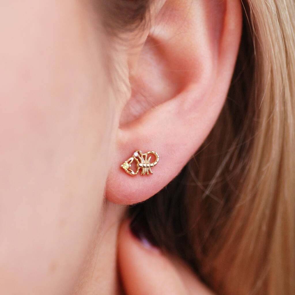 Gold Vermeil Zodiac Stud Earrings, 1 of 12