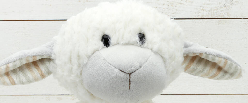 personalised sheep teddy