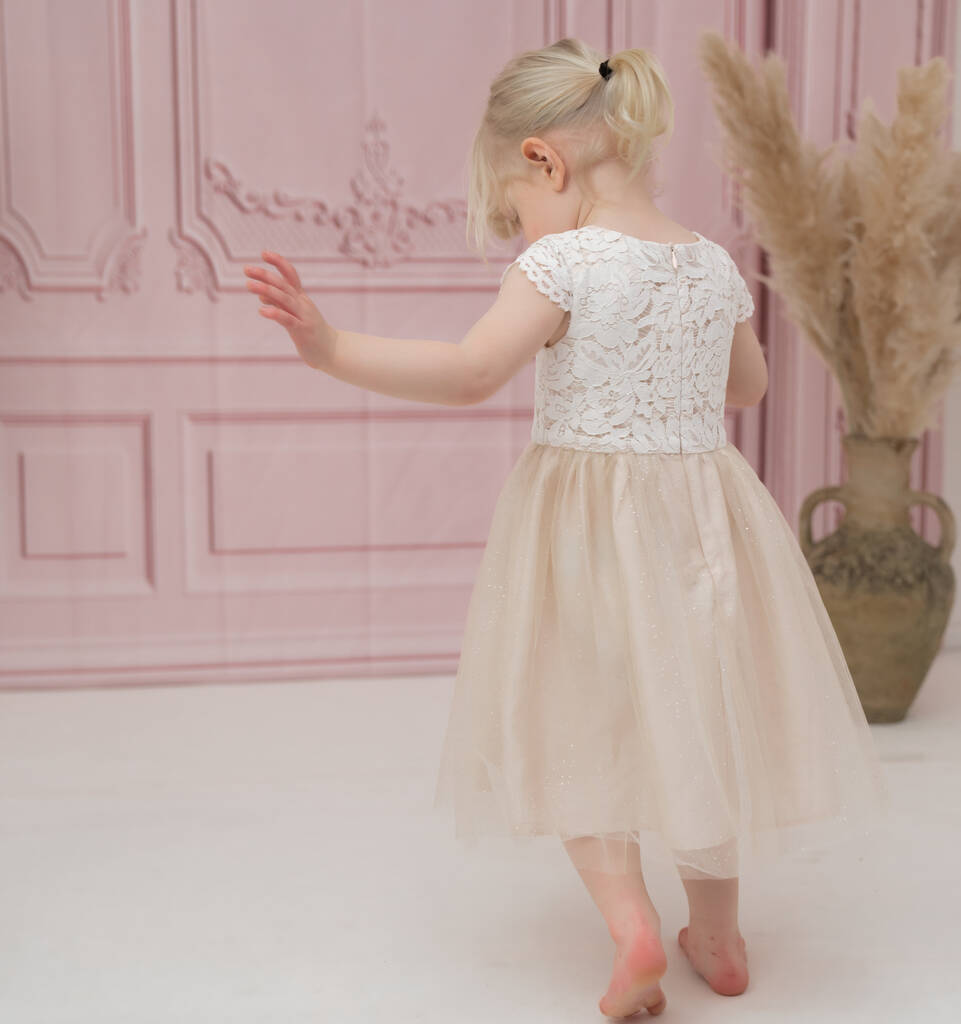 Champagne Soft Lace And Tulle Flower Girl Dress, 1 of 4