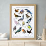 Personalised British Garden Birds Artwork, thumbnail 6 of 7