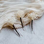 Liberty Preserved White Gypsophila Wedding Hair Pins, thumbnail 3 of 3