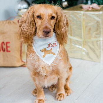 Personalised Christmas Dog Pet Bandana, 5 of 8