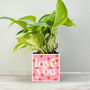 'Love You' Valentine's Plant Pot And Houseplant, thumbnail 1 of 7