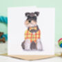 Dog Birthday Card Doggy Dress Up, thumbnail 1 of 12