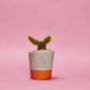 Concrete Pot Small With Cactus/ Succulent In Orange, thumbnail 2 of 5