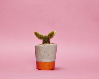 Concrete Pot Small With Cactus/ Succulent In Orange, 2 of 5