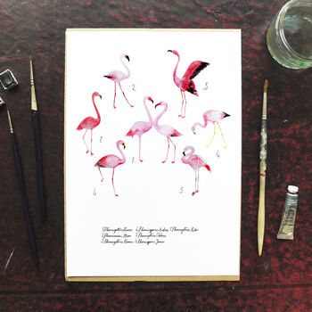 Flamboyance Of Flamingos Art Print, 3 of 7