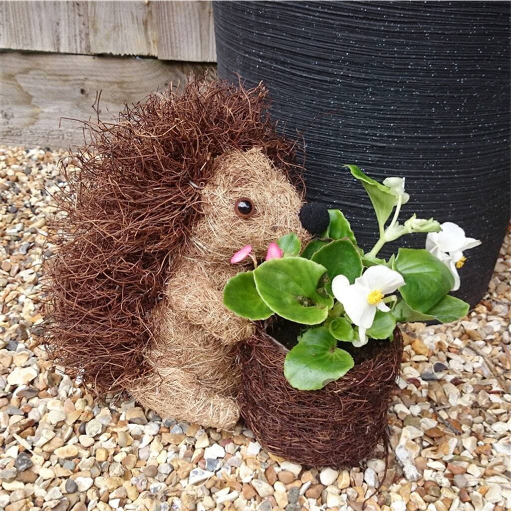 Hedgehog Planter Stocking Fillers, Hedgehog Gifts By The Bird Bakery