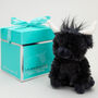 Mini Black Longhorn Highland Cow Soft Toy With Pop Up Gift Box, thumbnail 1 of 9