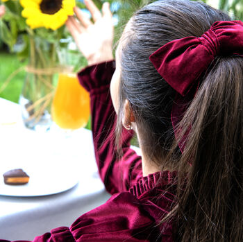 Chiara Girls Velvet Dress With Matching Hair Clip, 2 of 4