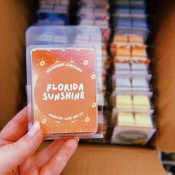 Disney Inspired Wax Melts | Choose Your Scent, 8 of 8