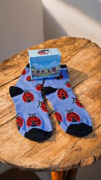 Ladybird Socks With Gift Box – Fun Gift One Size, 3 of 7