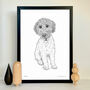 Personalised Pet Portrait Drawings, thumbnail 2 of 11