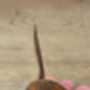 Needle Felted Handmade Tiny Dachshund/Long Haired/Black And Tan/Red/Chocolate And Tan, thumbnail 8 of 9