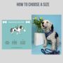 Navy And Pink Floral Dog Harness, thumbnail 4 of 6