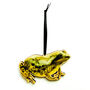 Amphibia Frog Wooden Hanging Decoration, thumbnail 2 of 4
