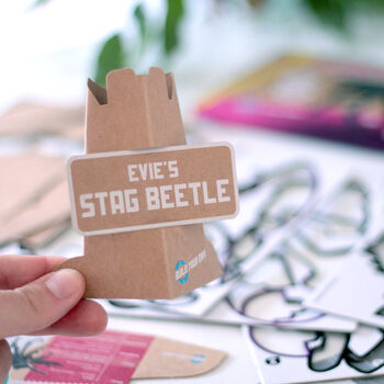 Build Your Own Personalised Stag Beetle Kit, 3 of 9