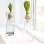 Cinth Grey Tinted Glass Vase, thumbnail 2 of 4