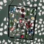 Mixed Pressed Flower Hanging Glass Frame, thumbnail 1 of 5