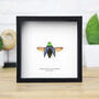 Saundersii Jewel Beetle Insect Bug Entomology Taxidermy Box Frame, thumbnail 1 of 3