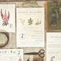 Botany Wildflower Vintage Wedding Stationery, thumbnail 3 of 10