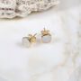 Brooklyn Moonstone And Gold Plated Stud Earrings, thumbnail 1 of 4