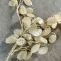 Clear Honesty Spray, thumbnail 2 of 4