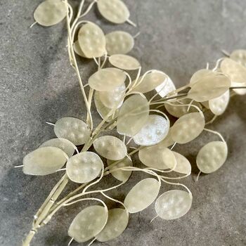 Clear Honesty Spray, 2 of 4