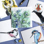 Feathered Friends Pack Of Five Blank Greeting Cards, thumbnail 3 of 7