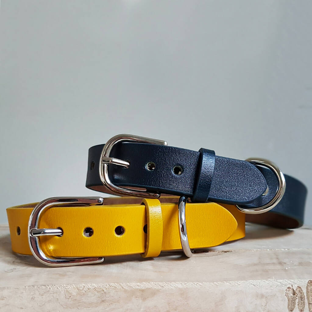 Super Soft Genuine Leather Classic Navy Dog Collar By Ollie & Co